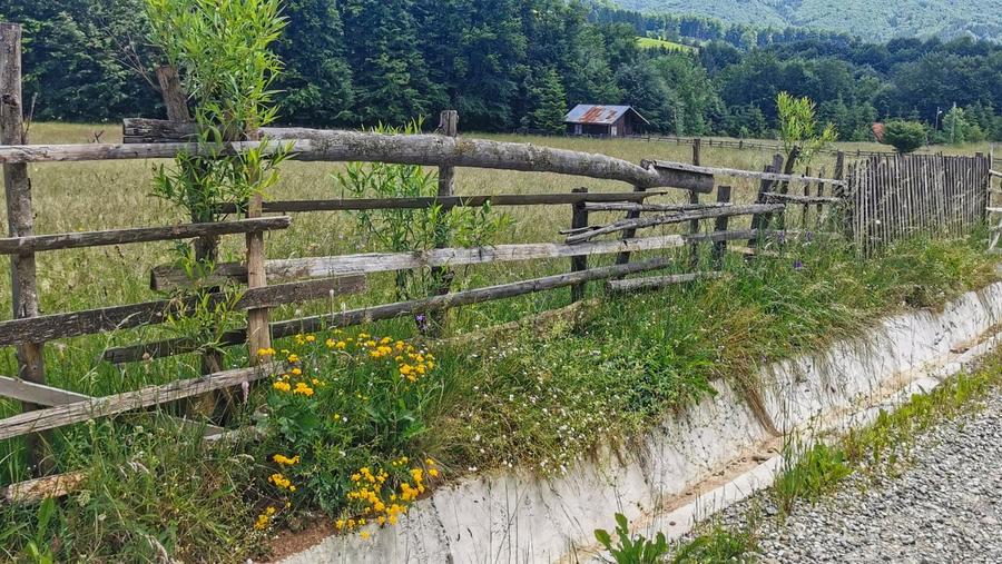 Teren intravilan de 5000, plat, orizontal la poalele muntelui, pe malul Doftanei - 9