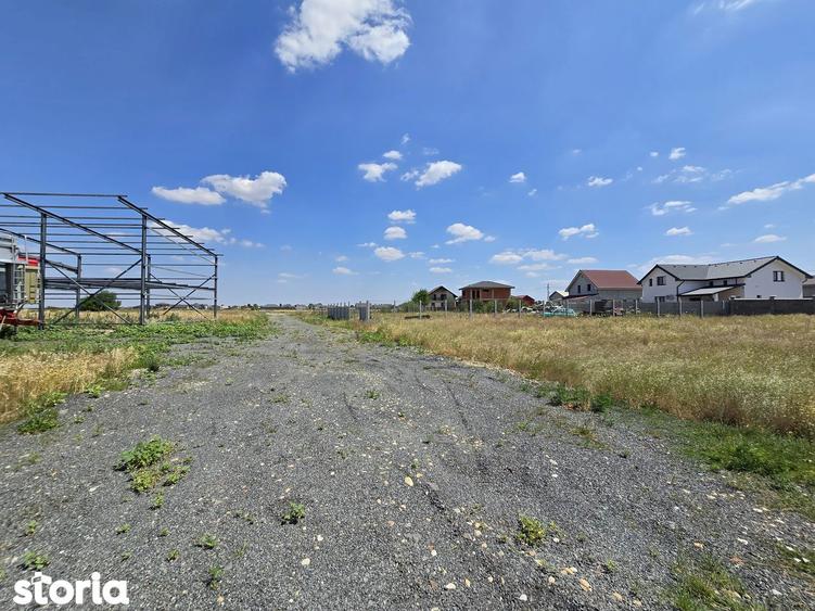 Teren intravilan 564 mp Zimandcuz - 1