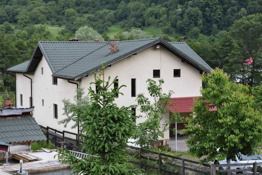 Domeniu privat 6 ha cu lac pastravarie vila cu parter, etaj si demisol - 3