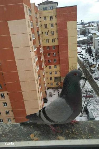 Inchiriez apartament 4 camere, Bl H4, B-dul Traian - 4