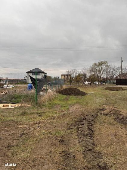 Vanzare Teren construibil 500mp 1 Decembrie Ilfov - 6
