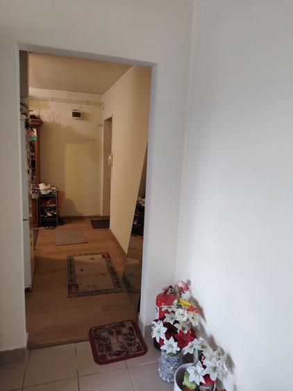 Apartament cu doua camere de vanzare ultracentral - 4