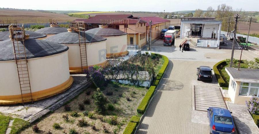 Crama din Buciumeni Afacere la cheie - 18