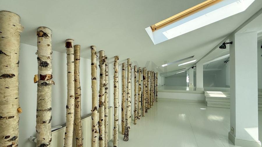 REV2005385 Vila interbelica de inchiriat - 7