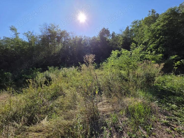 Vand proprietate - Valea Mare (Dambovi?a) - 7