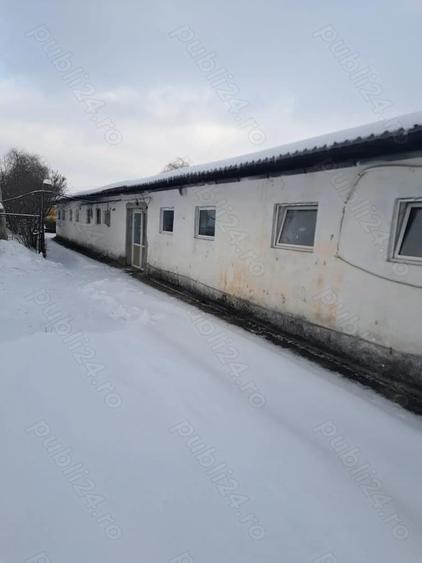 Hala de inchiriat - 1