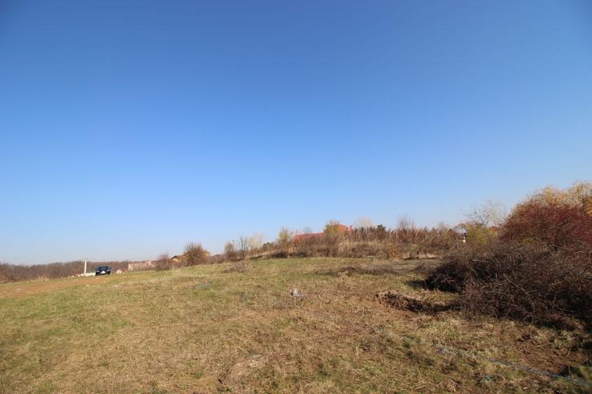 Teren dezvoltare 4763 pe malul Lacului Mogosoaia deschidere 40 metri - 9