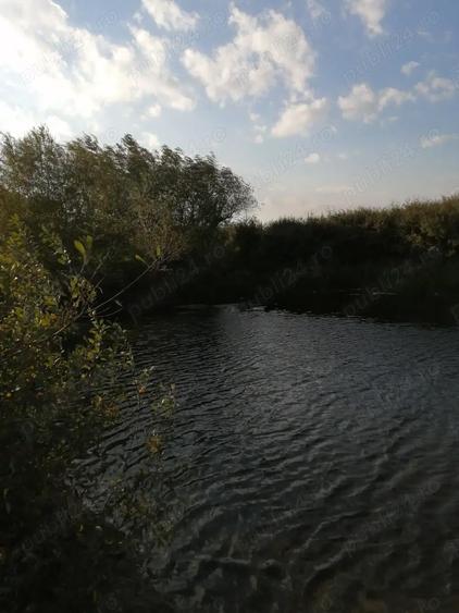 Vand balta de pescuit, amenajata in perioada anilor 70, fosta pescarie comunala - 2