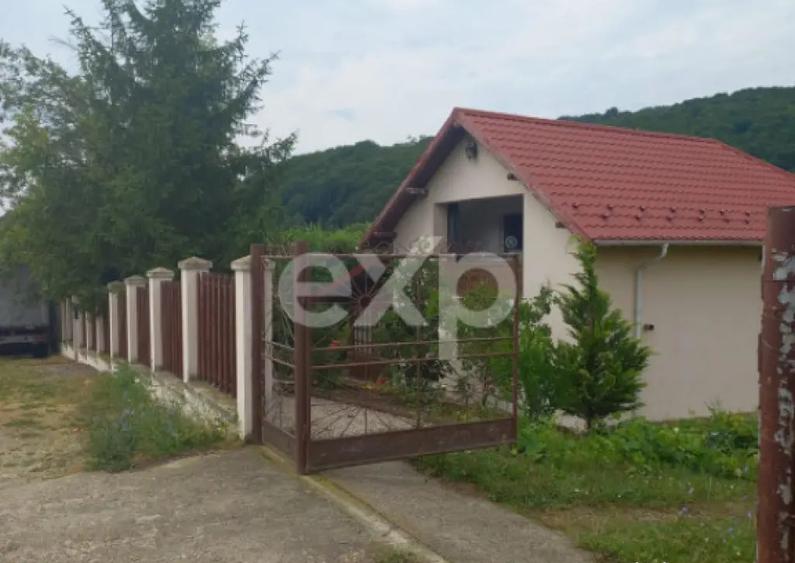 Casa la ?ara complet mobilata, 5.500 mp teren Topli? - 15