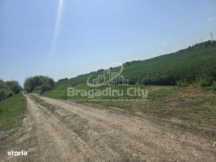 Teren Ordoreanu parcelat ideal investitie - 4