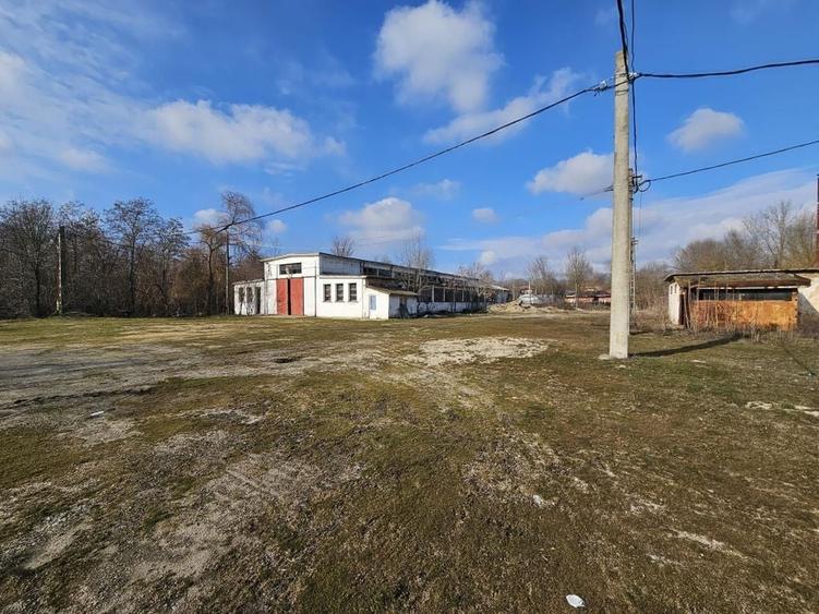 Vanzare amplasament industrial-servicii Tatarasti, Teleorman - 14