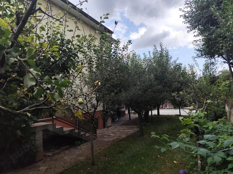 Zona deosebita, oportunitate de investi?ie casa individuala in Gruia - 4