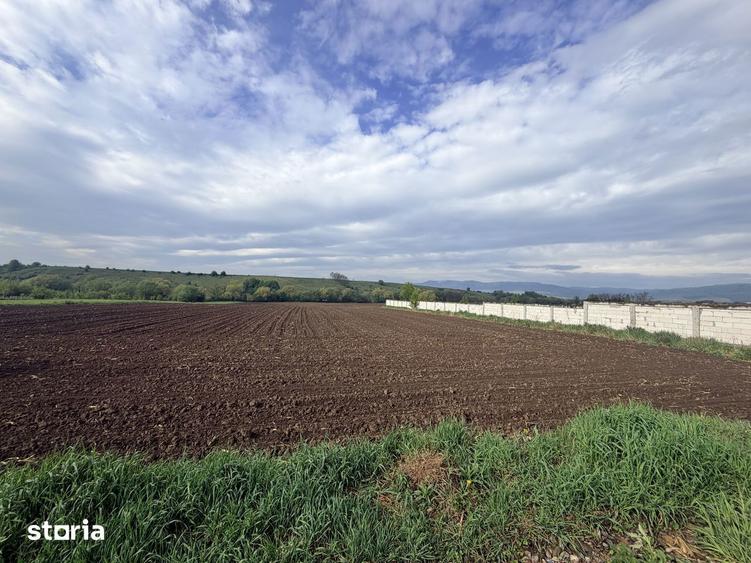 Targu Neam? - Str. Valea Seaca: Teren intravilan, asfalt, utilita?i - 10