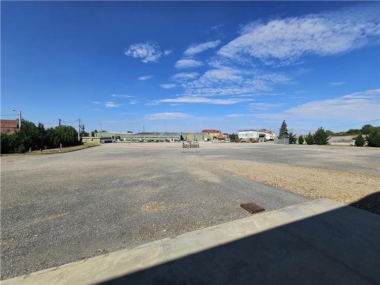 Spatiu Industrial - 6500 mp - Productie - Depozitare - Distributie - 15