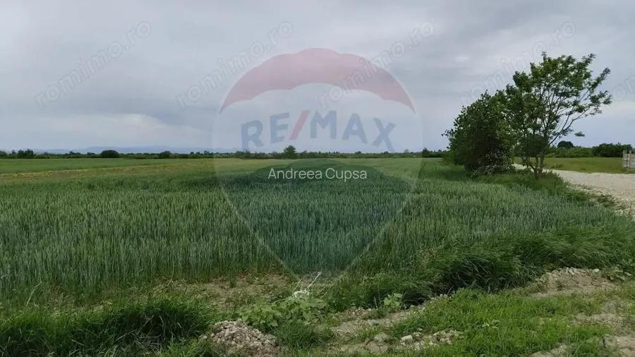 Teren intravilan Ulmeni !