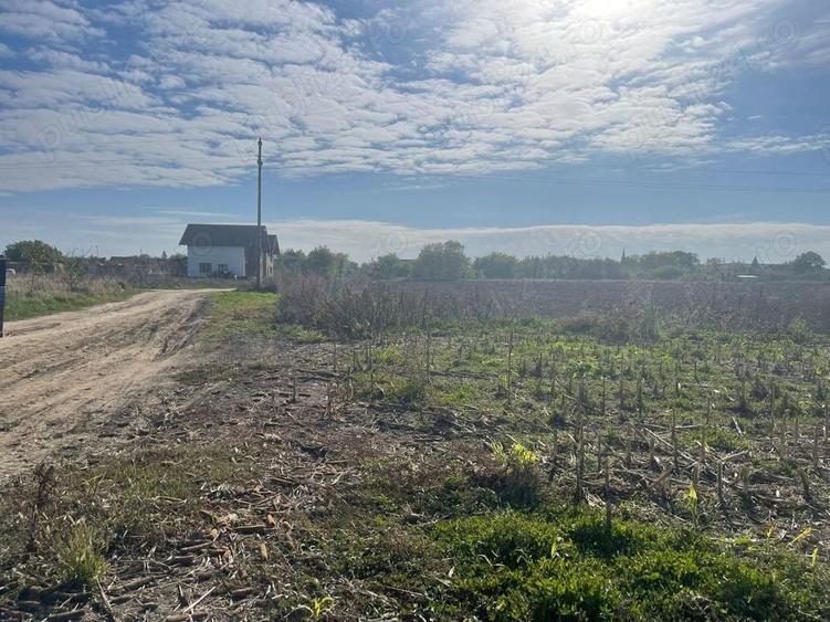 Vand teren Intravilan Sag - 2