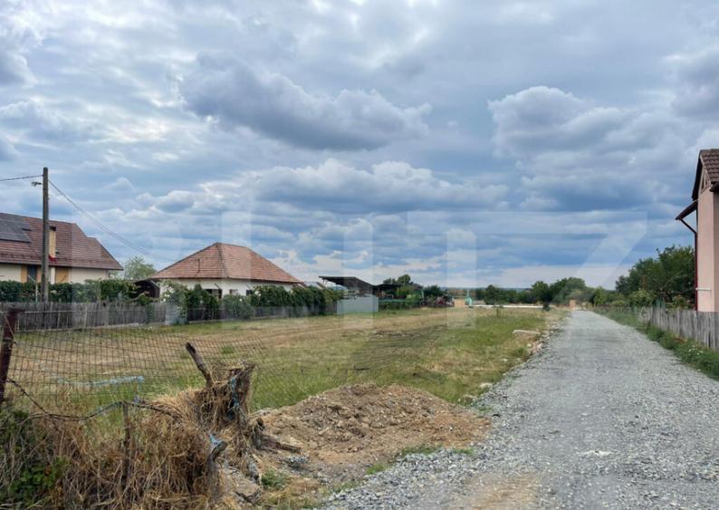???? Teren intravilan 1503 mp cu dubla deschidere Aleea - 1
