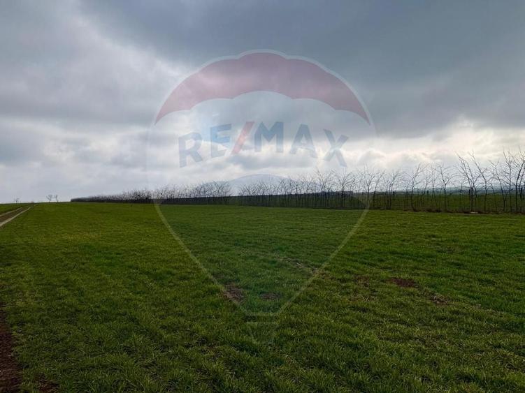 Teren extravilan Săcele ideal pentru silozuri, fermă sau investiție - 9