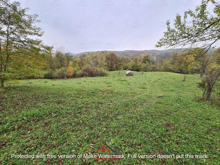 Teren intravilan in Provita de Jos 14.340 mp-- 90.000 e - 8