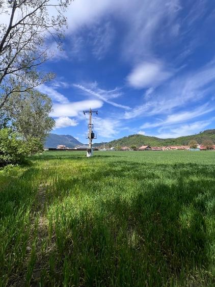 Teren intravilan construcție casă - 1