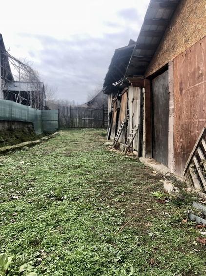 Casa plus anexe 1000 mp - 1