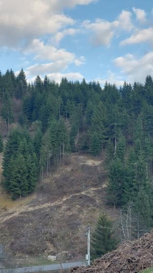 Teren intravilan de vânzare  - 4