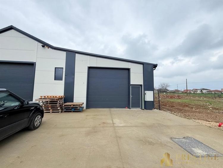 Hala 500 mp de inchiriat in Livada la 5 min de Aeroportul Oradea - 8