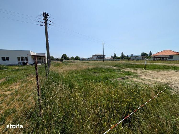 Teren intrav. 946 mp Mihai Viteazu front 22 m CU + aviz curent - 4