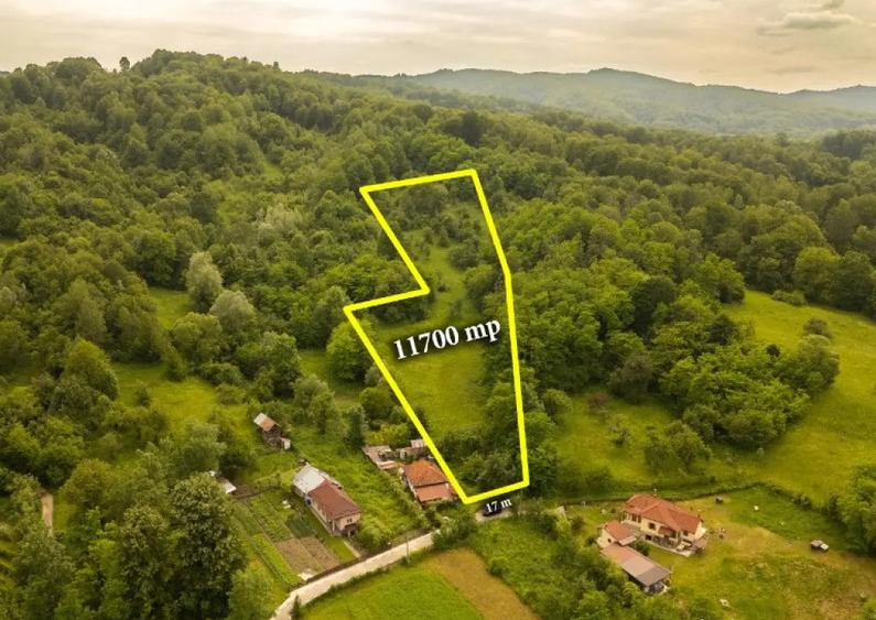 Teren 11700 mp in Valea Lunga, o oaza de lini?te, aer curat, verdea?a - 3