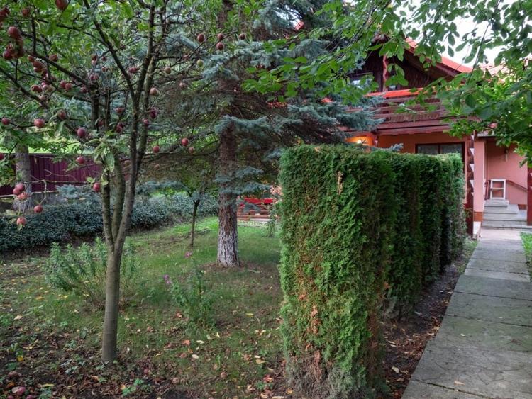 CASA INDIVIDULA CU ETAJ, MOBILATA SI UTILATA, 735 MP TEREN, ACTE LA ZI, SUCEVITA - 5