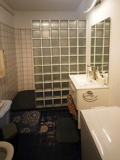 Vanzare casa mare cu etaj si 6200 mp teren intravilan Fieni, judetul Dambovita - 8