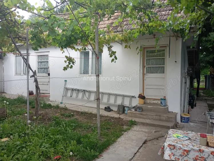 Casa cu gradina