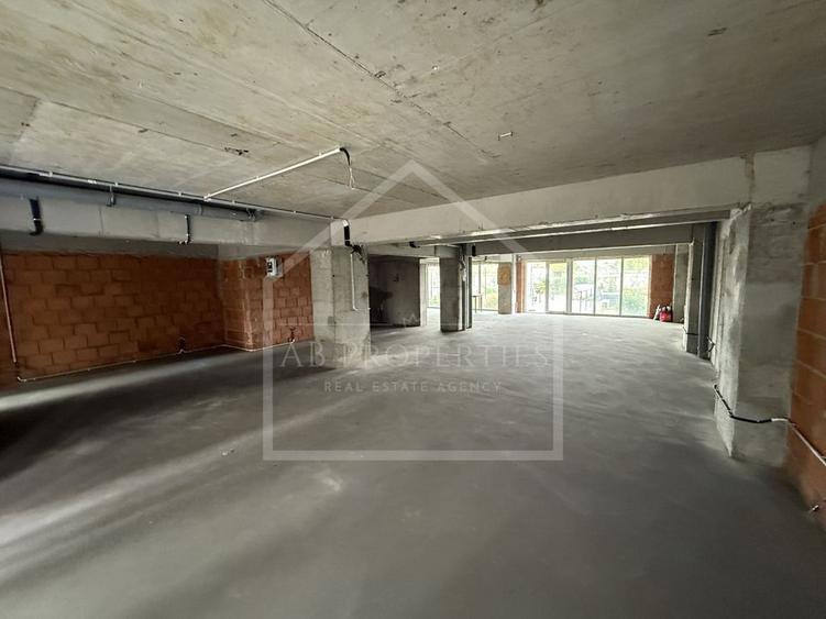 Spatiu Comecial 155 MP UTILI - 1