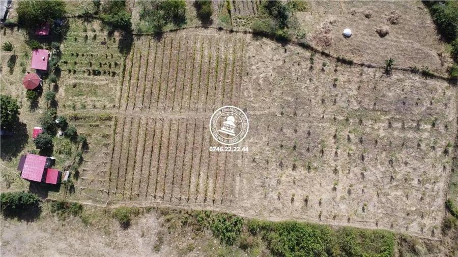 Teren pentru constructii case de vanzare Iasi, Mogosesti, - 3