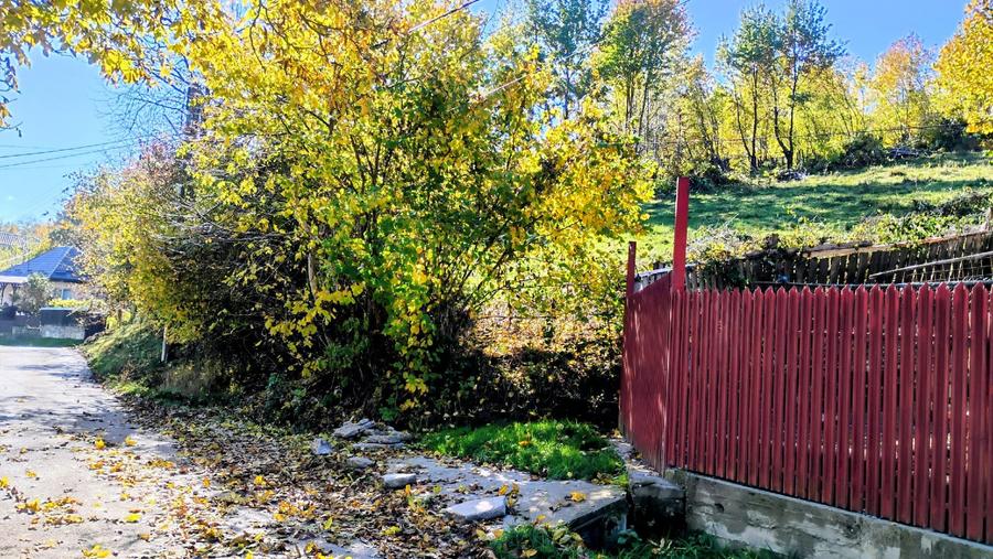 🌲 Teren 3600 mp langa Piatra Neamț, la asfalt, utilitati - 1