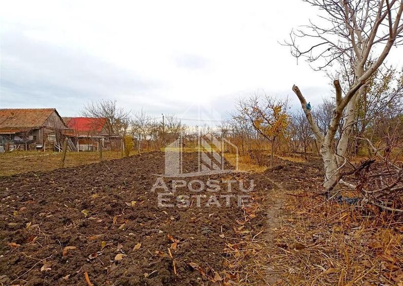 Teren 1000mp Cu Utilitati Dudesti Noi - 12