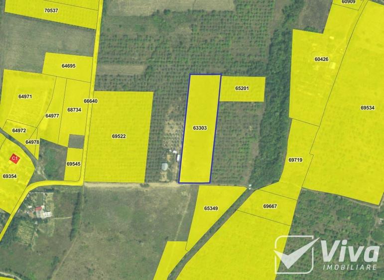 Teren 5300 mp Intravilan in Goruni – Tomesti - 5