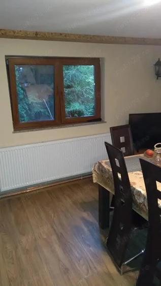 Vand Casa, Tautii de Sus, Maramure? - 4