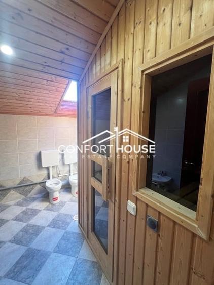 Proprietate deosebita, 2.250mp teren, piscina, IANCU NICOLAE - 47