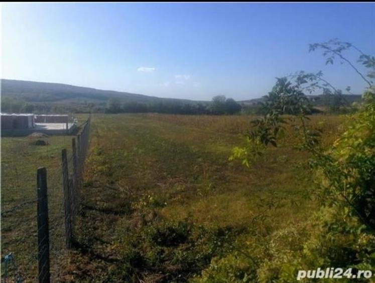 Vanzare teren in comuna Iordacheanu, sat Plavia (ID 622) - 1