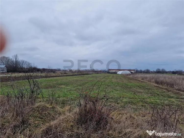 Teren intravilan in Bors cu front mare - 3