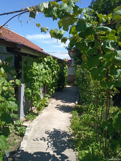 Case de vinzare confort apartament - 9