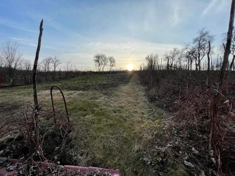 Casa de vanzare Craiesti - 5