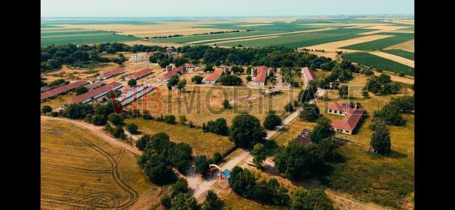 Ferma complet utilată – 30 ha teren comasat cu 11.500mp grajduri renovate Timiș - 6