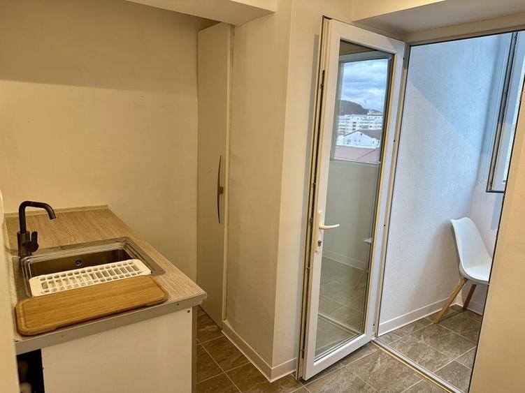 Garsiniera de vanzare sau inchiriere - 5