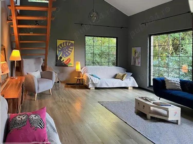 Vila unica pe malul lacului Scrovistea - 6