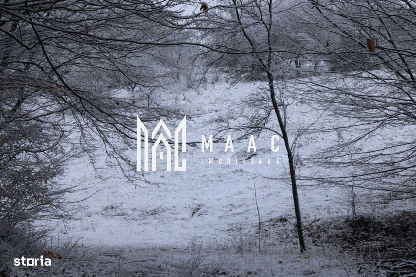 Teren cu izvor de apa minerala Dange?ti, Punctul Valea Mare - 6