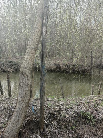 Vanzare casa pitoreasca, teren 2500mp - 3