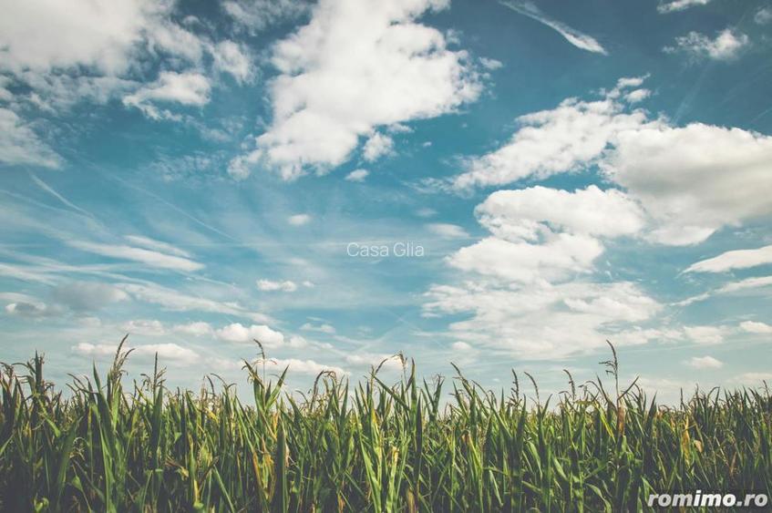 6,3 hectare teren agricol cu acces direct la DN709C Iratos Varias