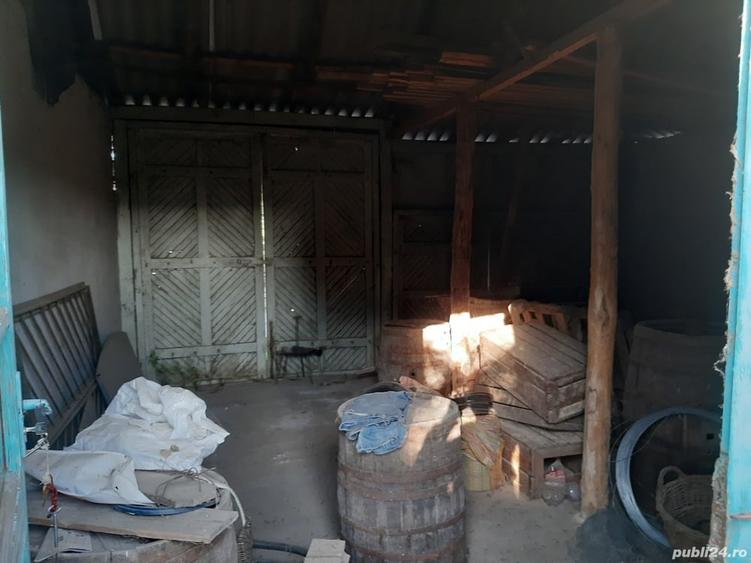 Casa cu teren intravilan Enisala 3590 mp - 6